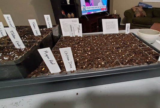 A planting we will go......