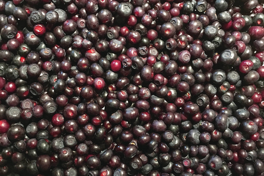 Huckleberry Prices going up